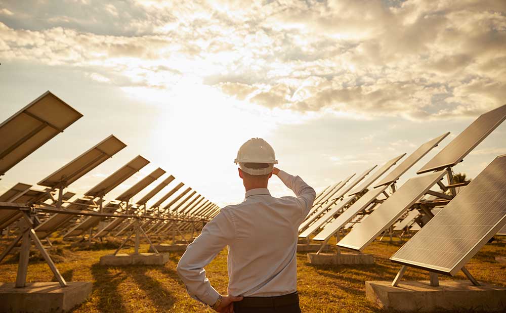 unrecognizable-engineer-admiring-modern-solar-farm-2023-11-27-05-18-05-utc.jpg