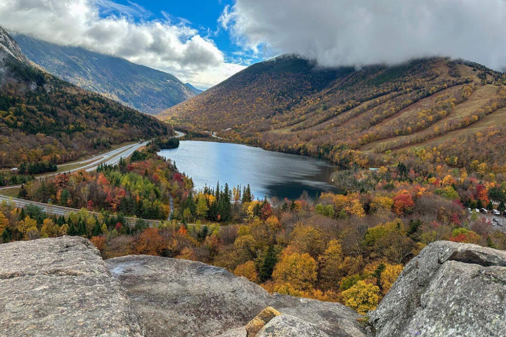 Fall_Foliage_Drought_25286459616.jpg