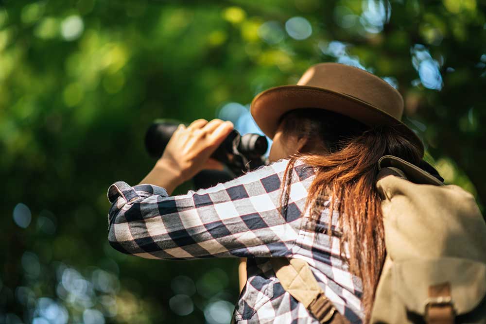 happy-freedom-young-woman-watching-wildlife-with-b-2025-01-16-13-51-09-utc.jpg