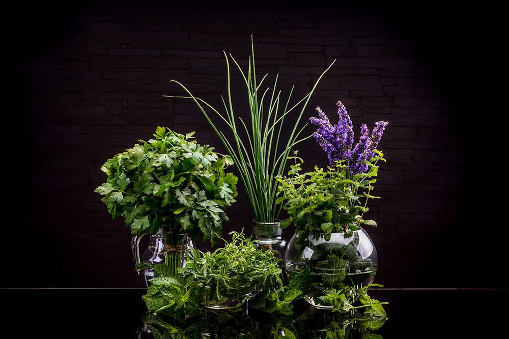 garden-fresh-herbs-2025-02-22-11-12-06-utc.jpg