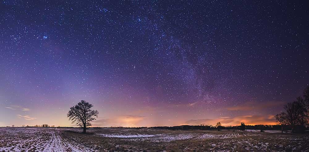 landscape-of-zodiacal-light-with-stars-and-a-tree-2025-01-02-19-48-49-utc.jpg