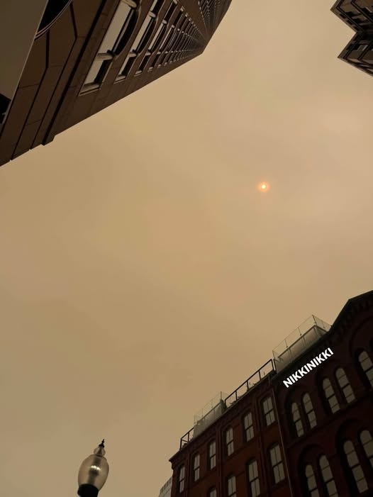 748231609_1380750520612675_46549.jpg