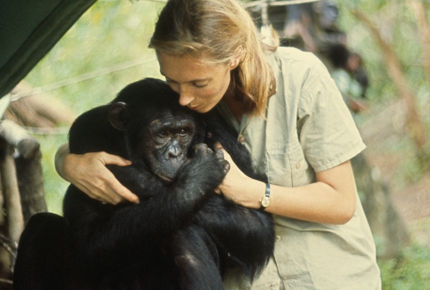 jane-goodall-12.jpg