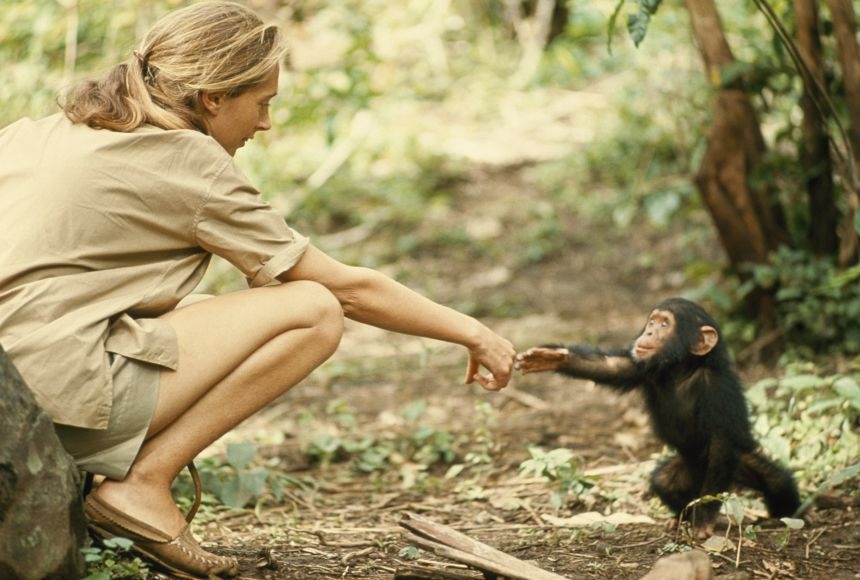 jane-goodall-05.jpg