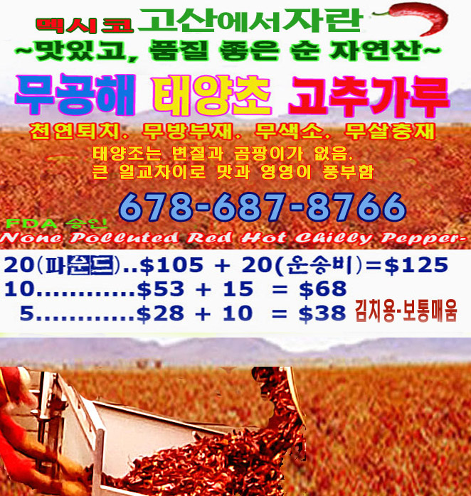 new ad 1copy copy copy copy.jpg