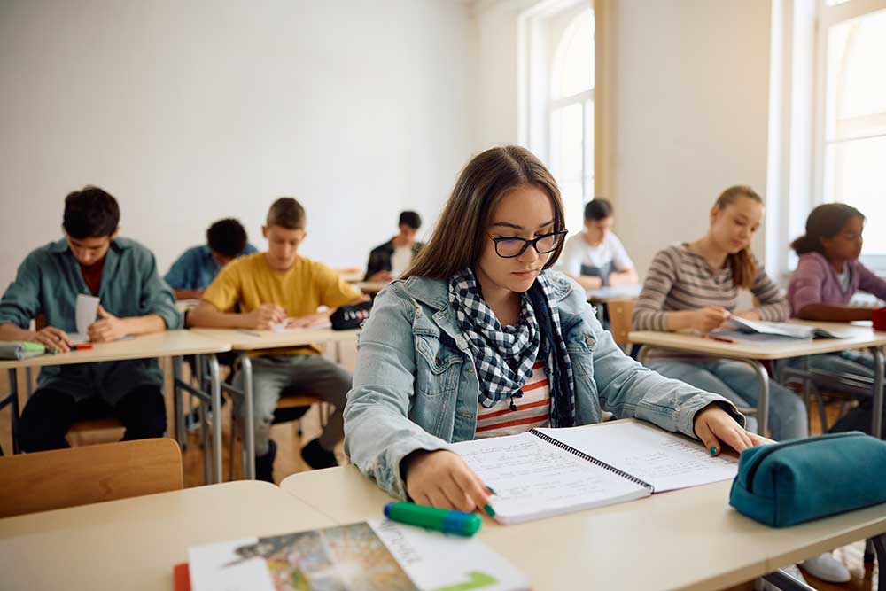 teenage-girl-studying-in-the-classroom-at-high-sch-2024-12-13-16-35-39-utc.jpg