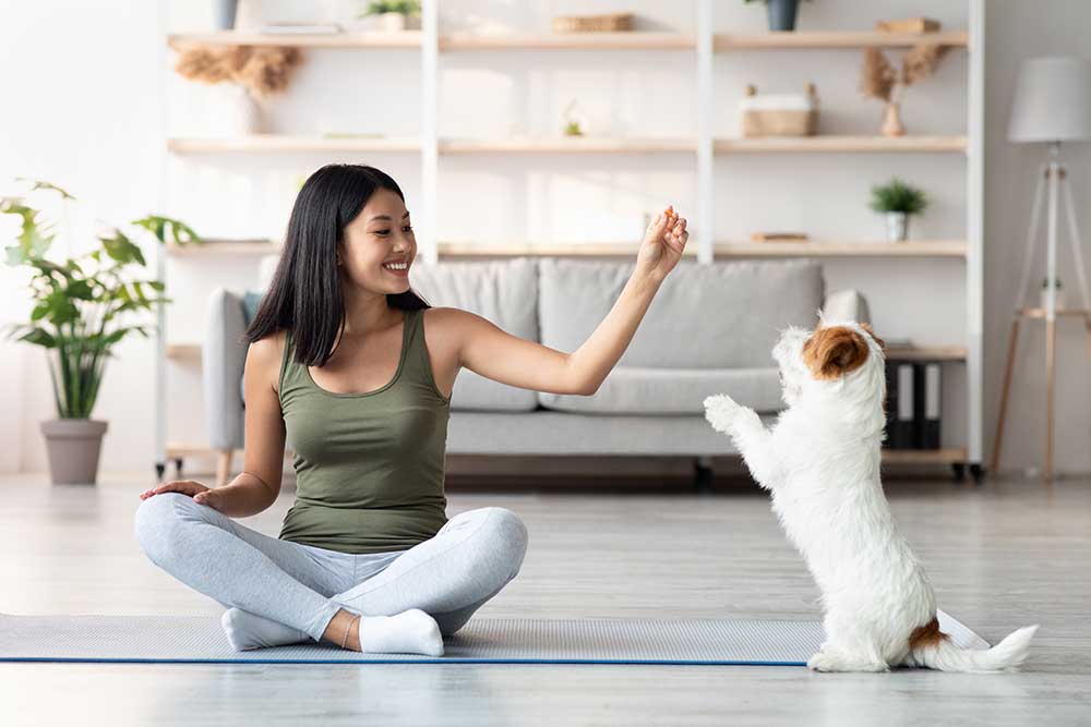 cheerful-asian-woman-playing-with-dog-while-exerci-2023-11-27-05-35-55-utc.jpg
