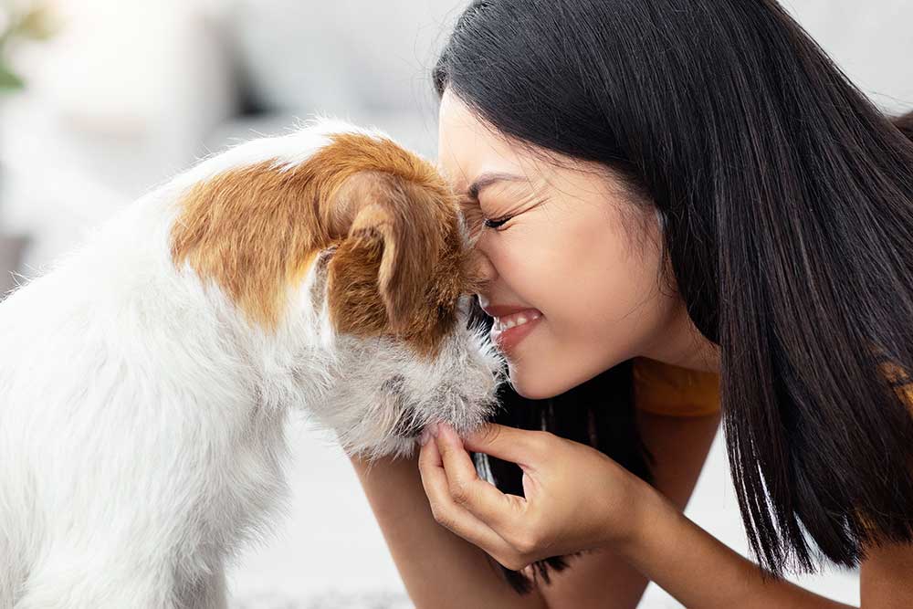 happy-asian-woman-petting-her-cute-dog-at-home-2025-02-19-17-57-01-utc.jpg