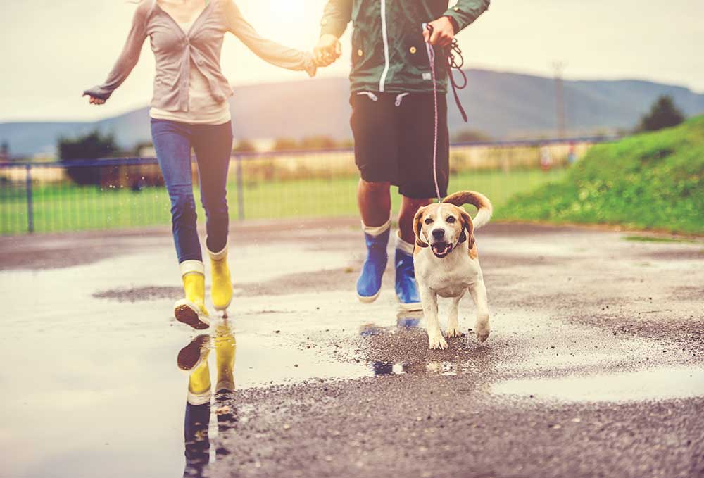 young-couple-walk-dog-in-rain-2024-10-21-02-07-16-utc.jpg