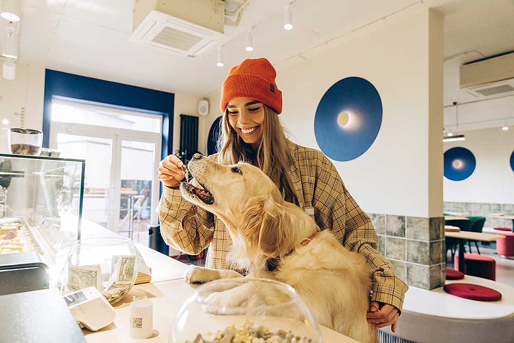 woman-giving-treat-to-golden-retriever-in-coffee-s-2025-01-27-18-21-12-utc.jpg